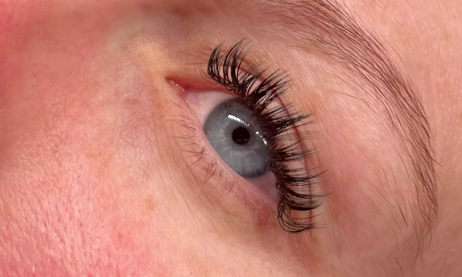 Up to 55% Off on Eyelash Extensions at Lee Lash LLC