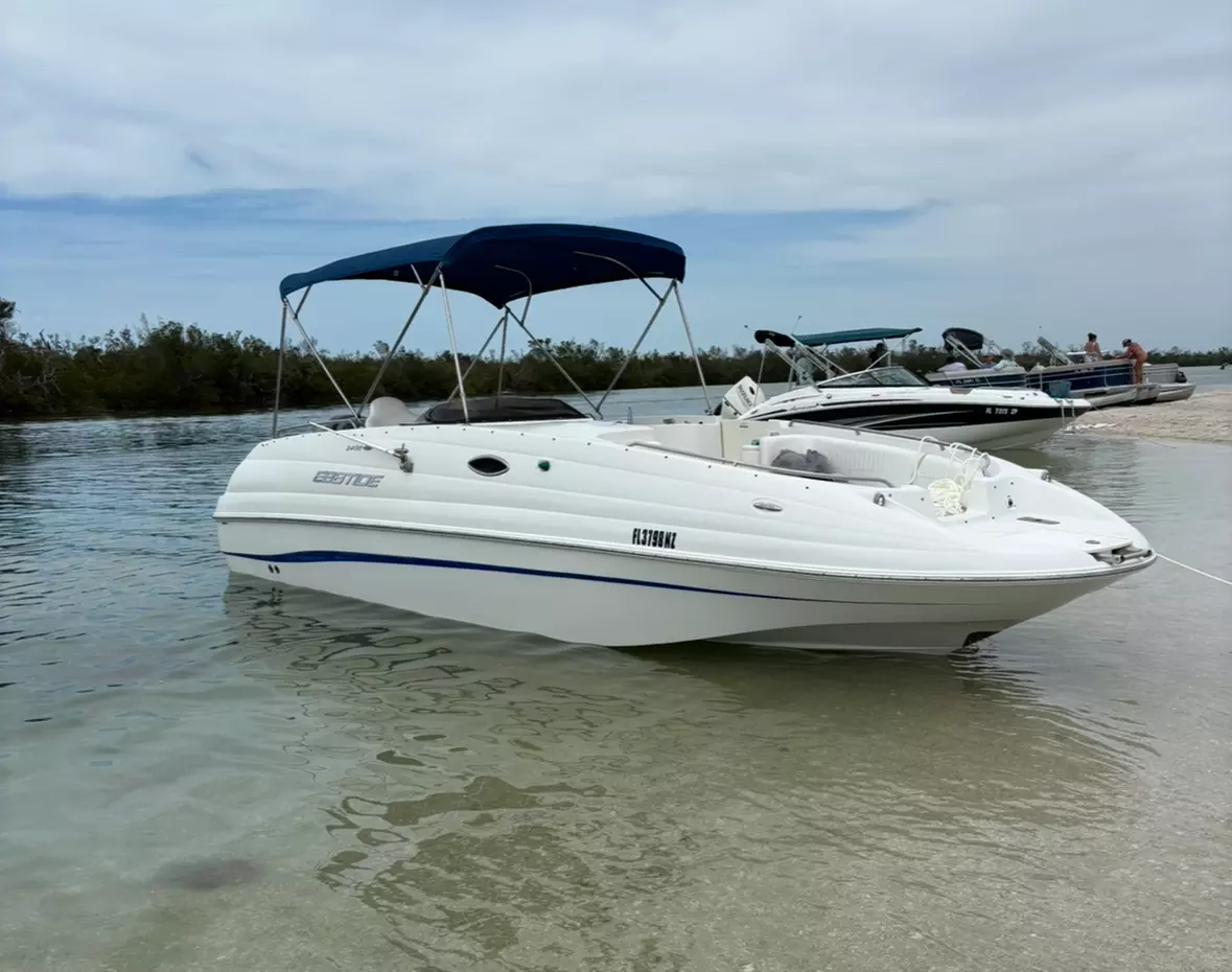 4-Hour Boat Tours, Up to 6 People Visit Sandbars, Islands & Eco Tours