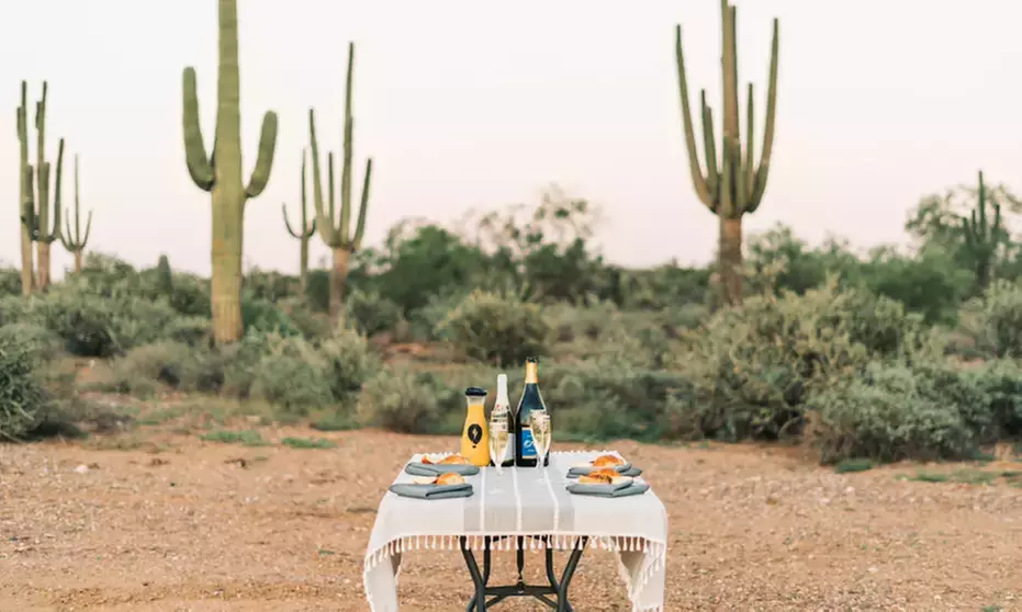 Premier Hot Air Balloon Ride Above the Sonoran Desert