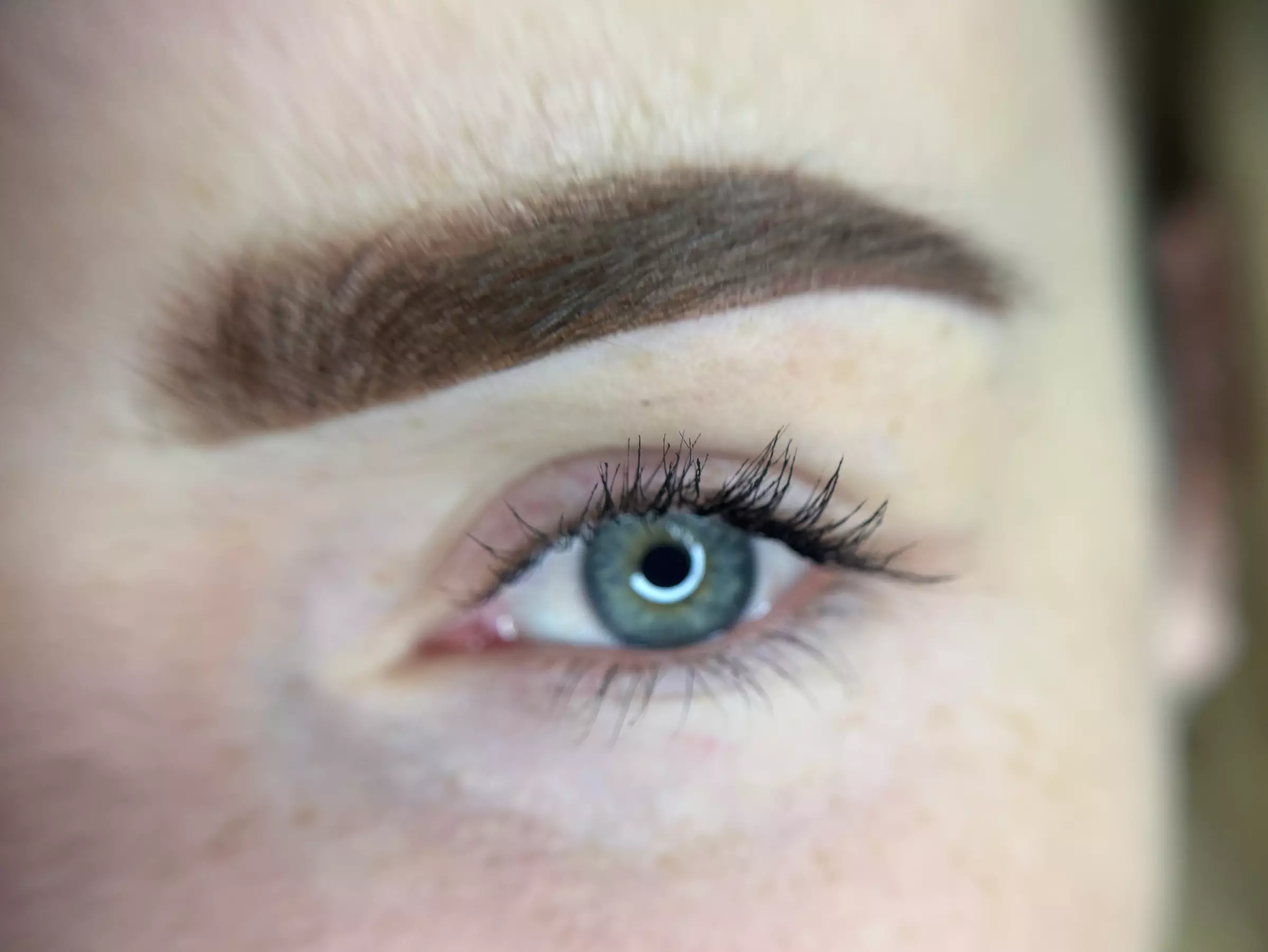 Enhance with One Powdered Brows Session with Optional Touch Up