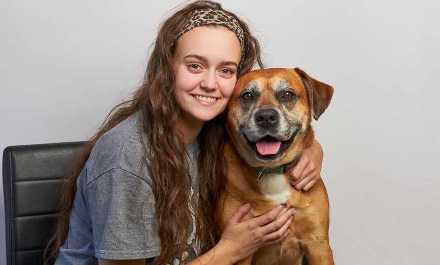 Image 3: Comprehensive vet exam for your furry friend