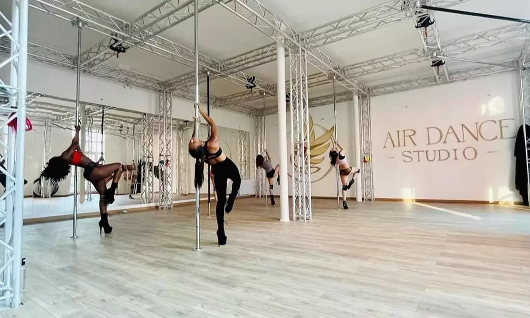 Cours de pole dance d'1h30