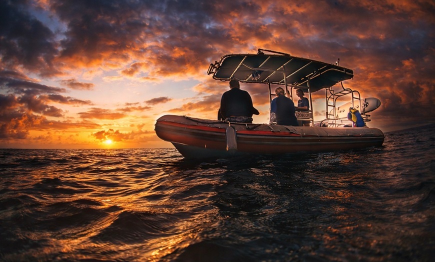 Image 5: Enjoy 2 hrs Manta Tour (45 Min Water Time) at Kona Mantas, Kailua-Kona