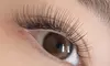 Up to 51% Off on Eyelash Extensions at Beauty Blossom