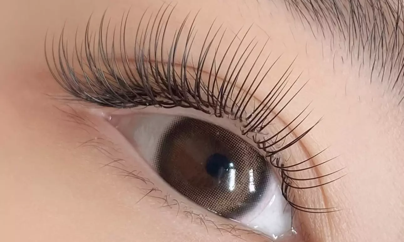 Transform Your Look with Eyelash Extensions, Lift, and Tint! 