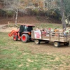 Image 1: Up to 30% Off on Farm Tour at Cress Creeks Farm