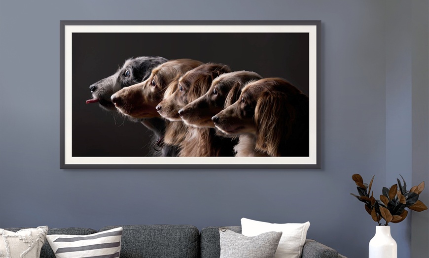 Image 6: Up to 75% Off on Photo Shoot - Pet at Emotion Studio