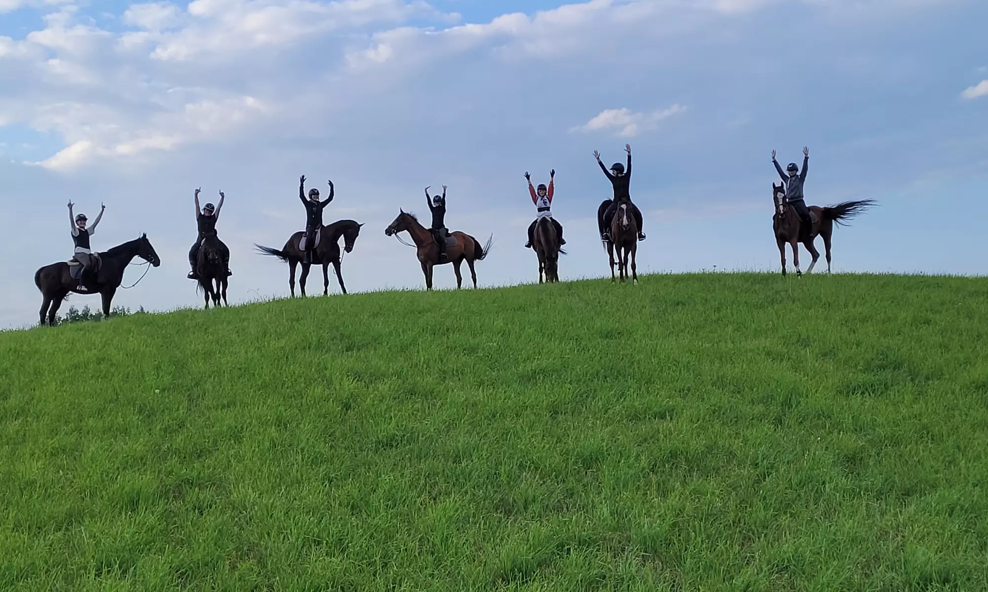 Jazda konna na lonży w firmie Kj Anno Lepi
