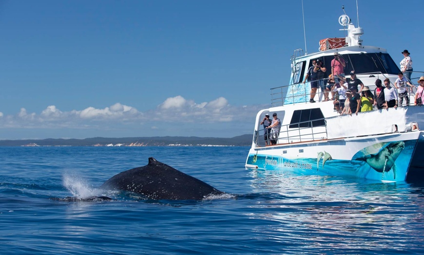 Image 3: Up to 30% Off on Ferry (Transportation) at Freedom Ecotours Pty Ltd