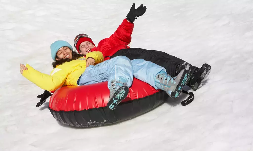 Winter Fun with Snow Tubing Park Admission at Wild Mountain - Primary Image