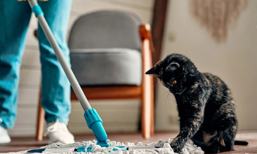 Image 1: Up to 50% Off on House / Room Cleaning at Clean Fox