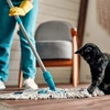 Image 1: Up to 50% Off on House / Room Cleaning at Clean Fox