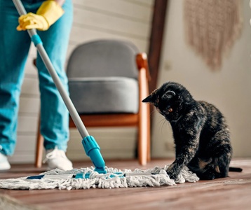 6 Man-Hour of Deep Cleaning for Up to 3000 Sqft - Clean Fox