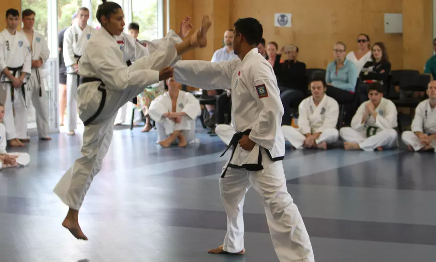 Image 10: Four-Week Taekwondo Classes