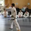 Image 10: Four-Week Taekwondo Classes