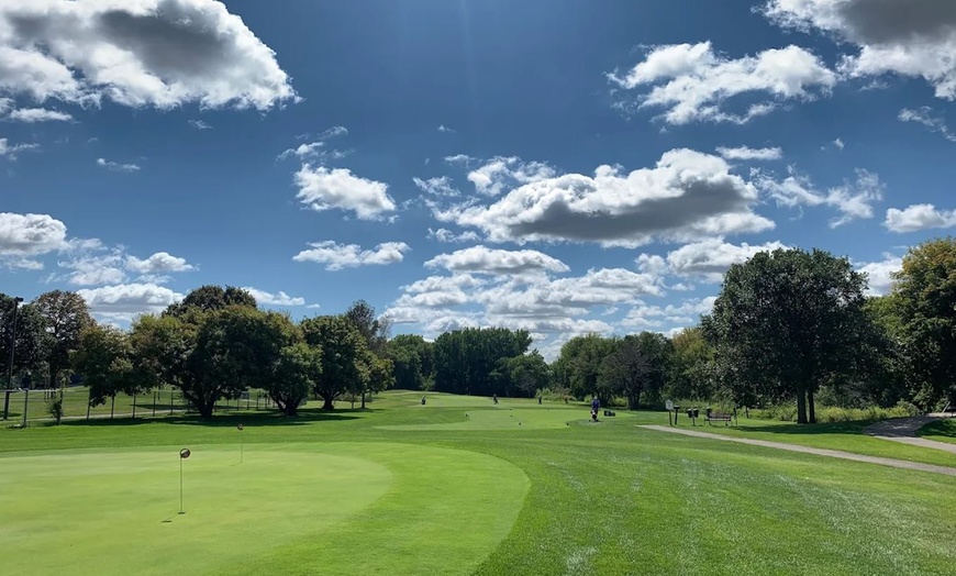 Image 2: 9-Hole Par-3 Golf with Cart – Minneapolis Metro