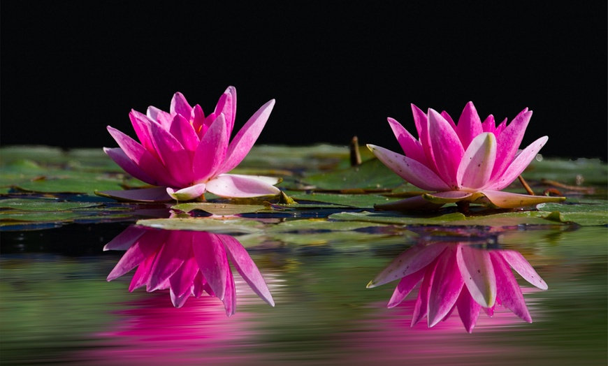 Image 5: Kopf- oder Nacken-Schultergürtel-Massage für 1 Person