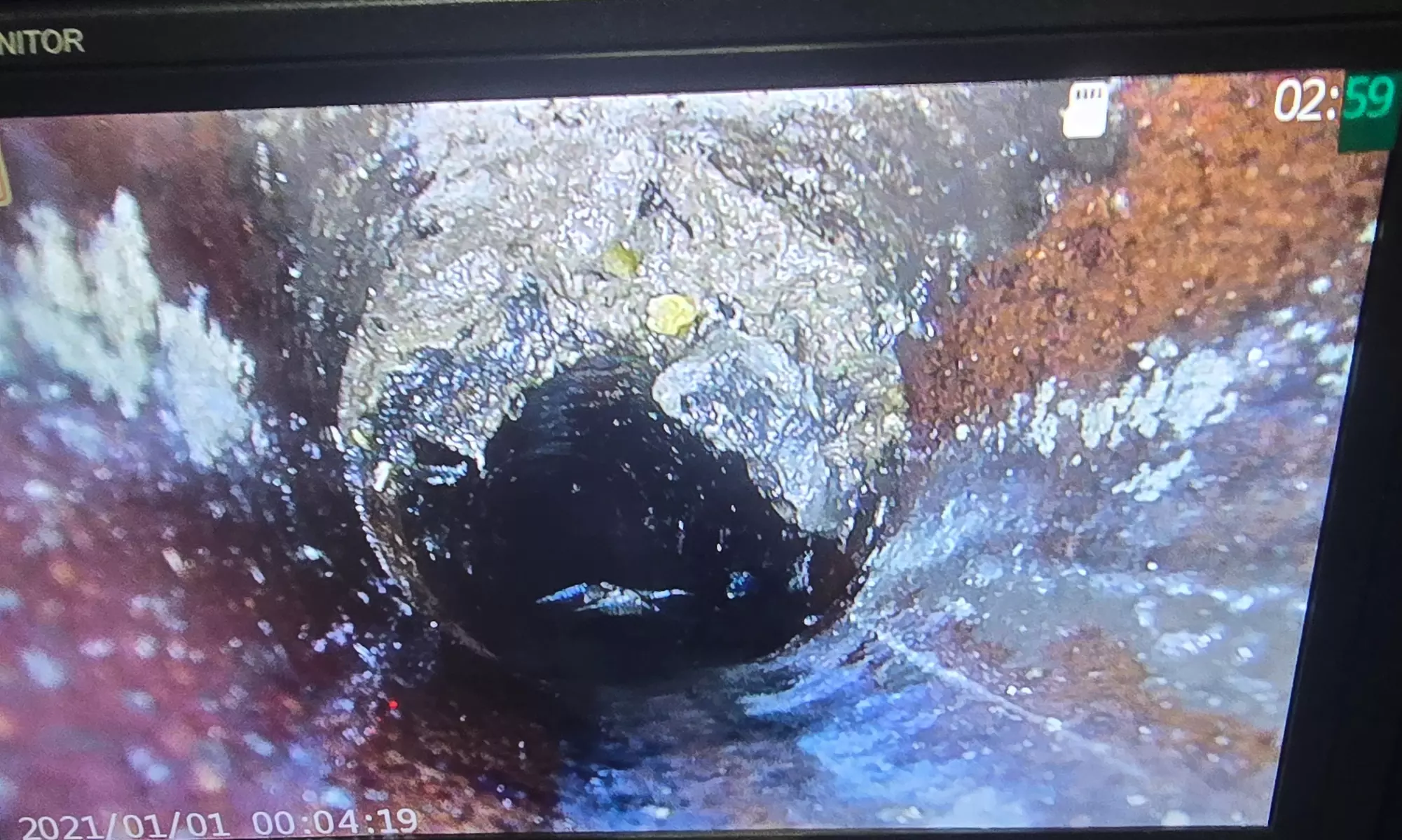 Plumbing Check-up plus Optional Sewer Inspection!