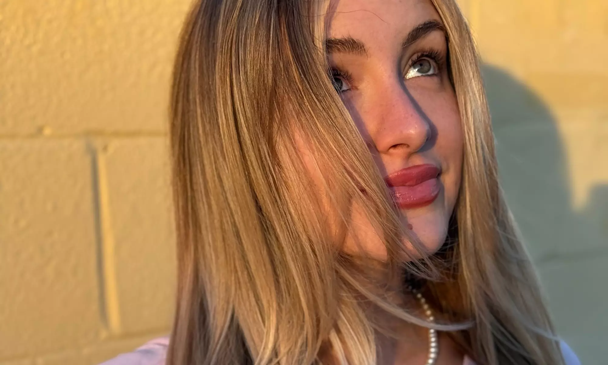 Expert Haircut, Shampoo, Blowdry, & Optional Highlights or Balayage