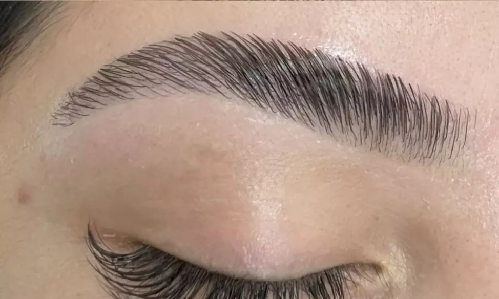 Brow Lamination, Lash Tint and Lift with Full Set of Extensions