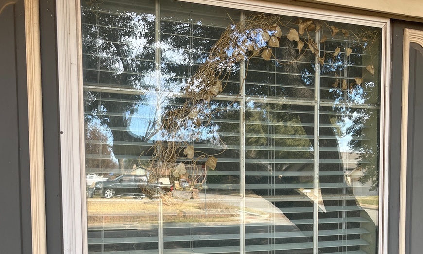 Image 5: Get Up to 20 Windows Cleaned with Exterior Glass Service