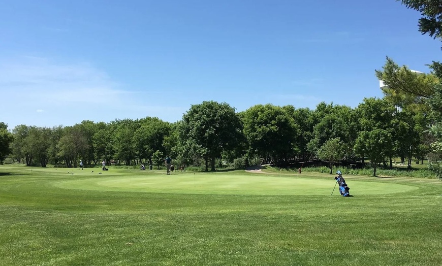 Image 4: 9-Hole Par-3 Golf with Cart – Minneapolis Metro