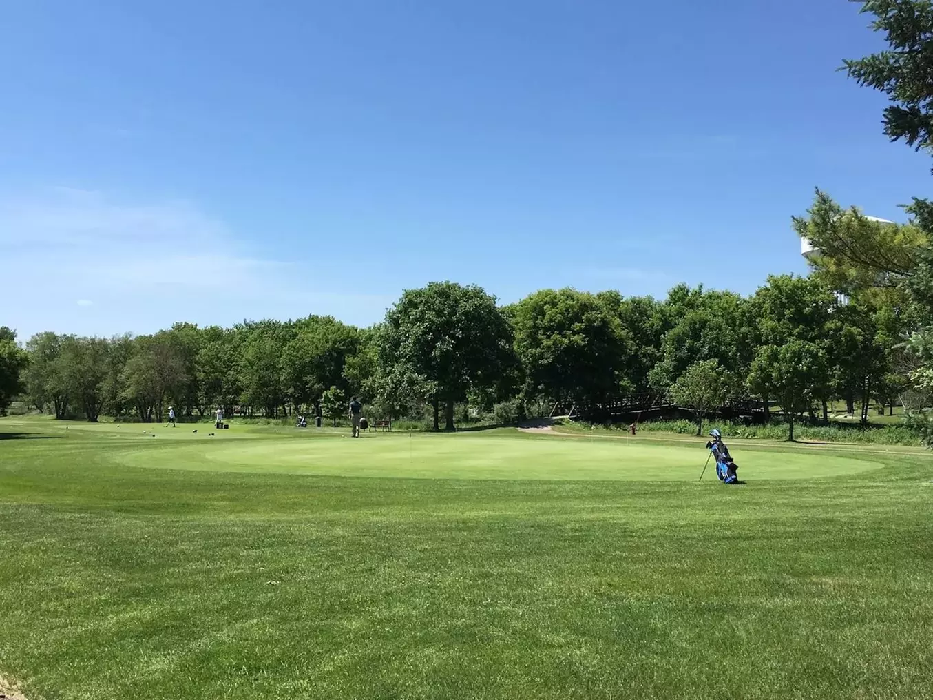 9-Hole Par-3 Golf with Cart – Minneapolis Metro