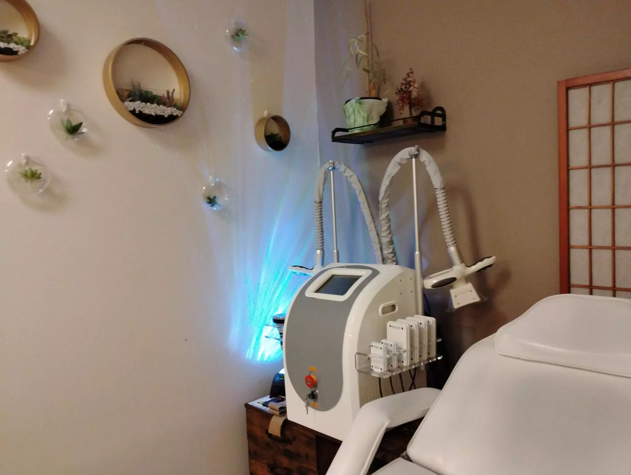 Get Fat Freeze Treatment at Functionised Integrative Therapeutics