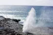 Up to 50% Off on Guided Tour at Hawaiian Circle Island Tours, LLC - Second Medium