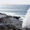 Image 4: Up to 52% Off on Guided Tour at Hawaiian Circle Island Tours, LLC