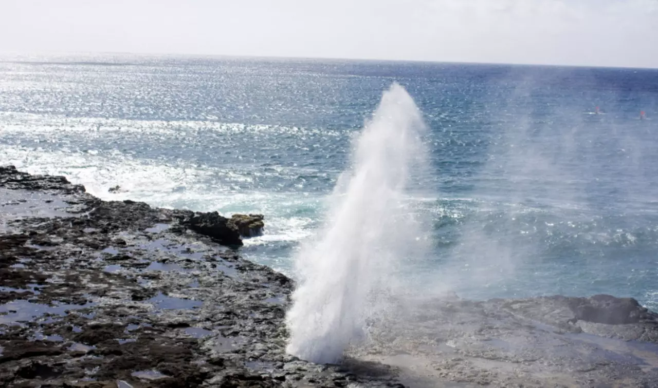Up to 50% Off on Guided Tour at Hawaiian Circle Island Tours, LLC