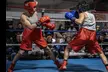 Up to 60% Off on Boxing / Kickboxing - Training at Supreme Team Boxing - Second Medium
