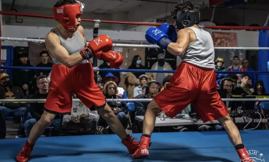 Boxing or Kickboxing Training Packages: Private to Unlimited Options