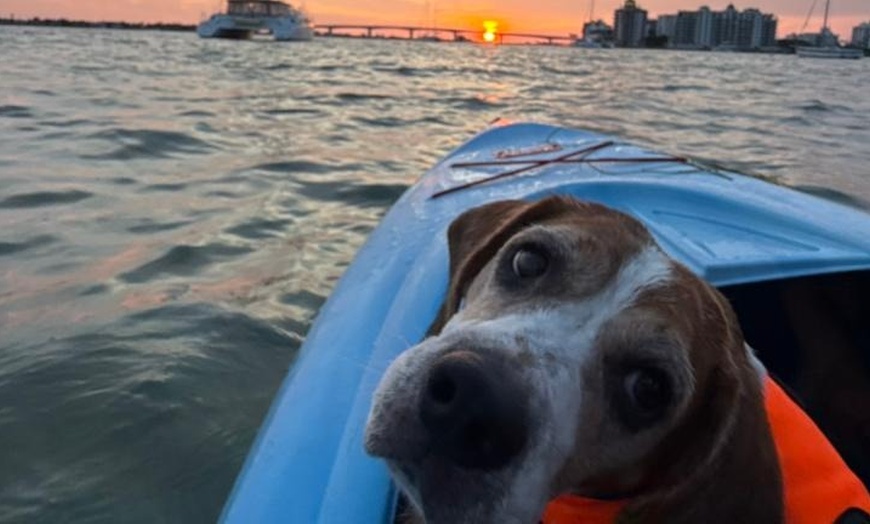 Image 8: Enjoy Sunset or Sunrise Kayaking Tours in Tampa Bay Area