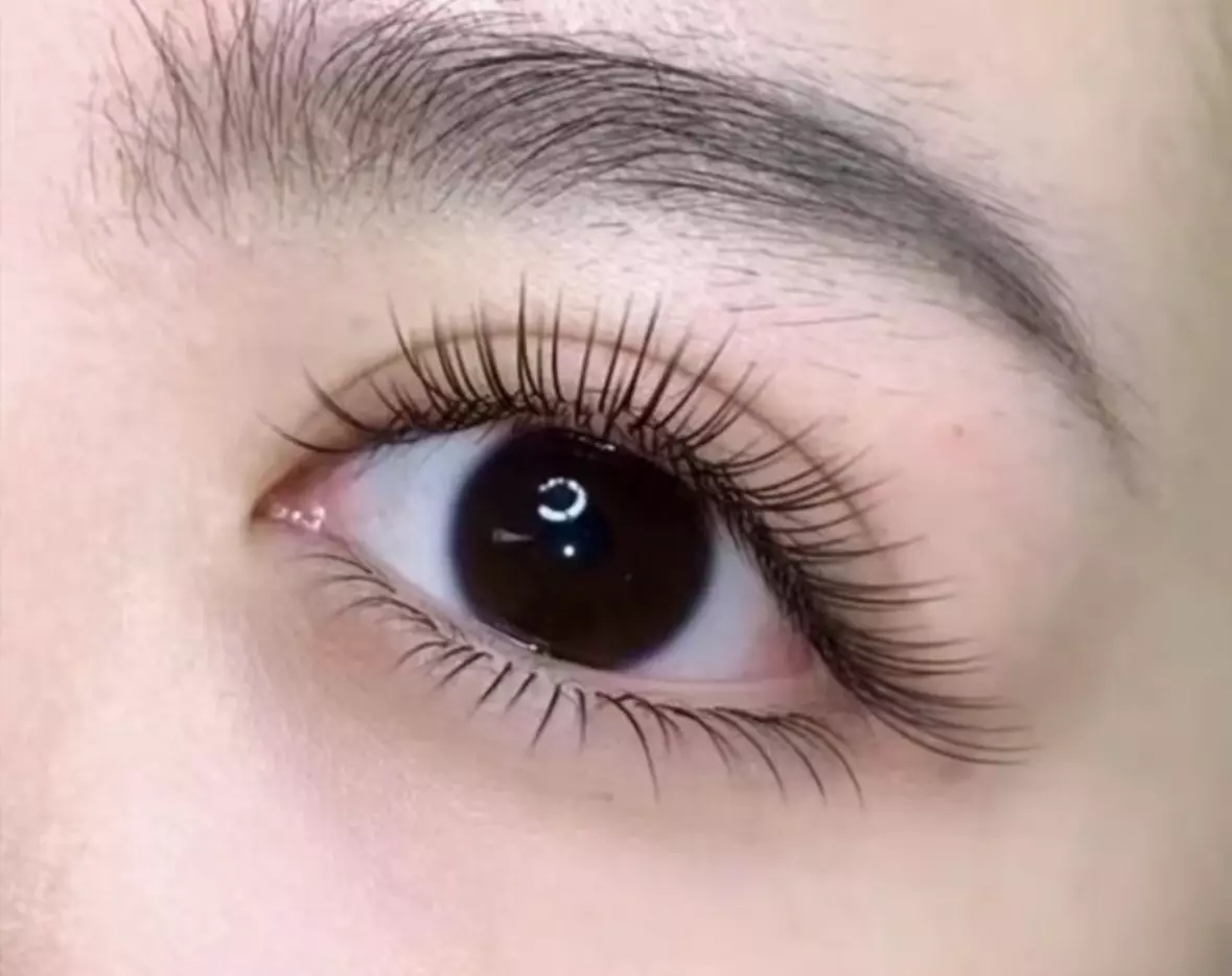 Enhance Your Look with Full Set of Eyelash Extensions