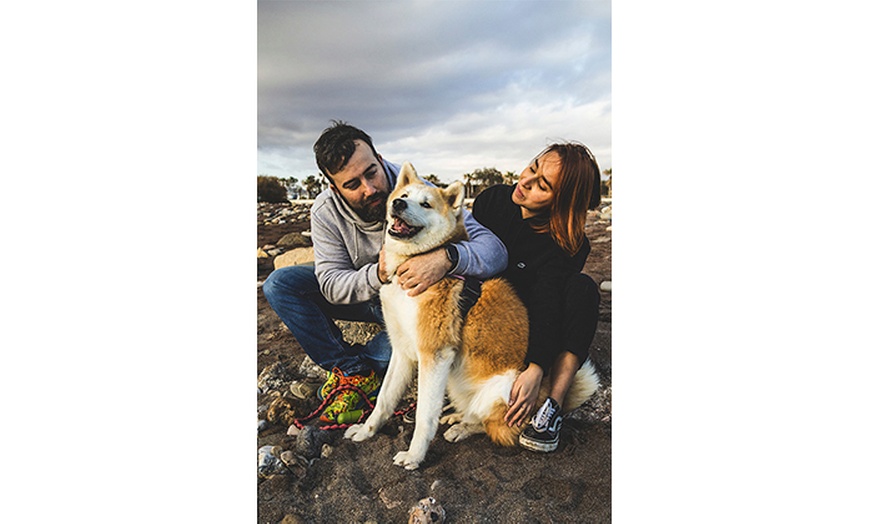 Image 3: Hasta 75% en Sesión fotográfica Mascotas en Ciervo Fotografía