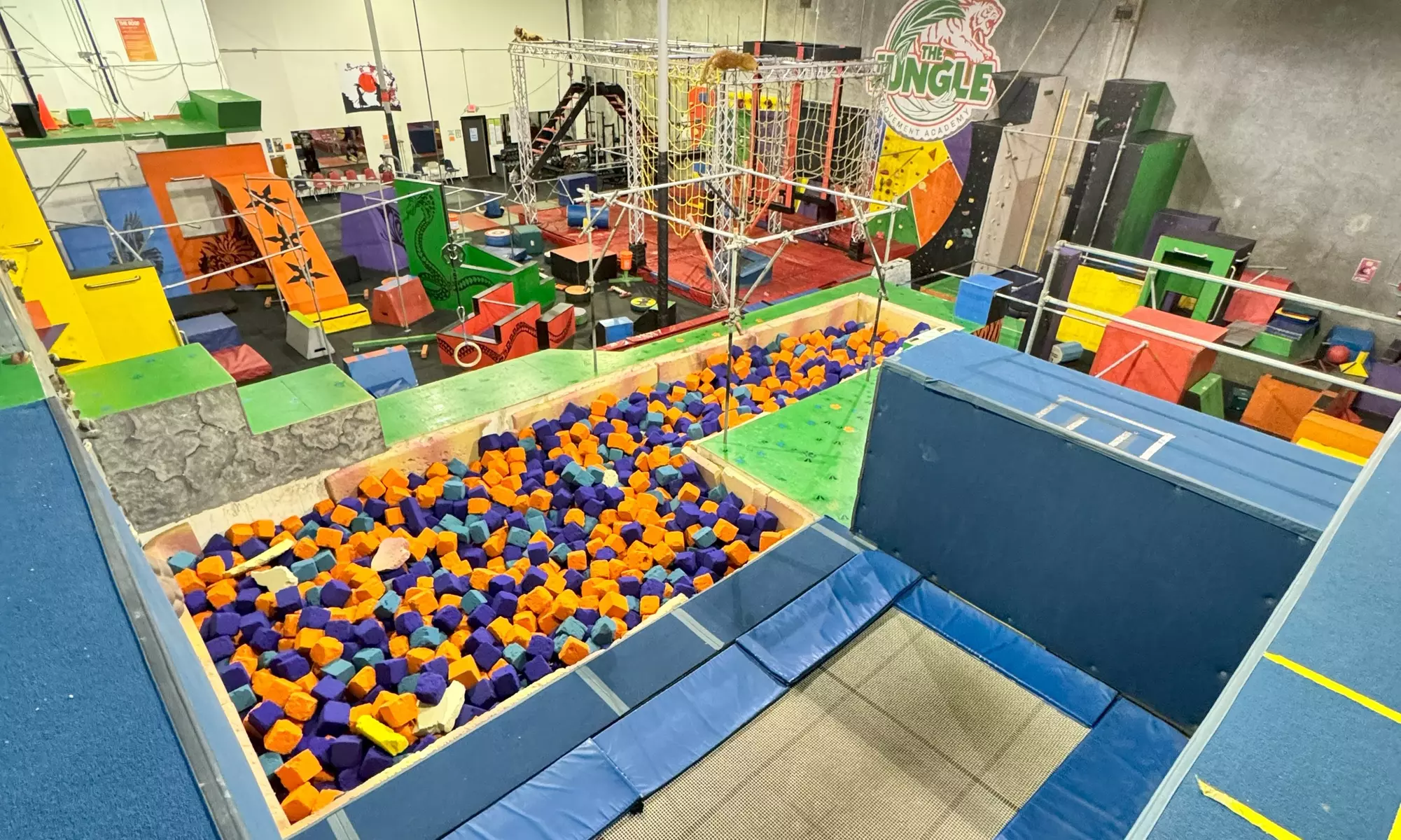 Open Gym for You and Your Friends in The Jungle Movement Academy