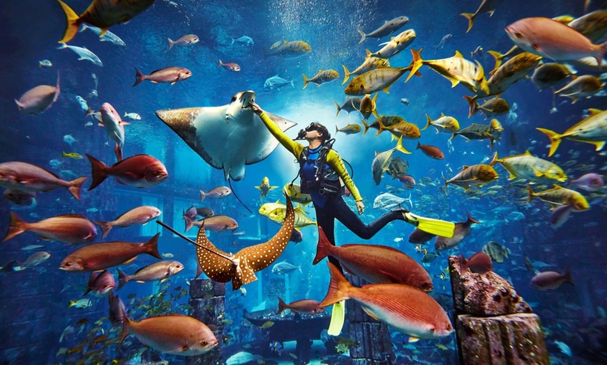 Image 5: Explore Atlantis at the Lost Chambers Aquarium!