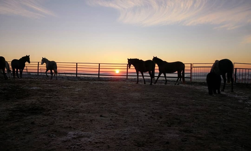 Image 11: Paseo a caballo en entorno natural para cualquier nivel (hasta 4 pax.)