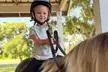 Up To 48% Off On Saddle Seat Riding with Two, Four, or Eight Horse Back Riding Lessons - Second Medium