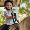 Image 4: Up To 42% Off On Saddle Seat Riding with Two, Four, or Eight Horse Back Riding Lessons 