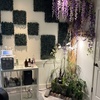 Image 3:  The Infinite Growth Series: Medical-Grade PRP Hair Restoration