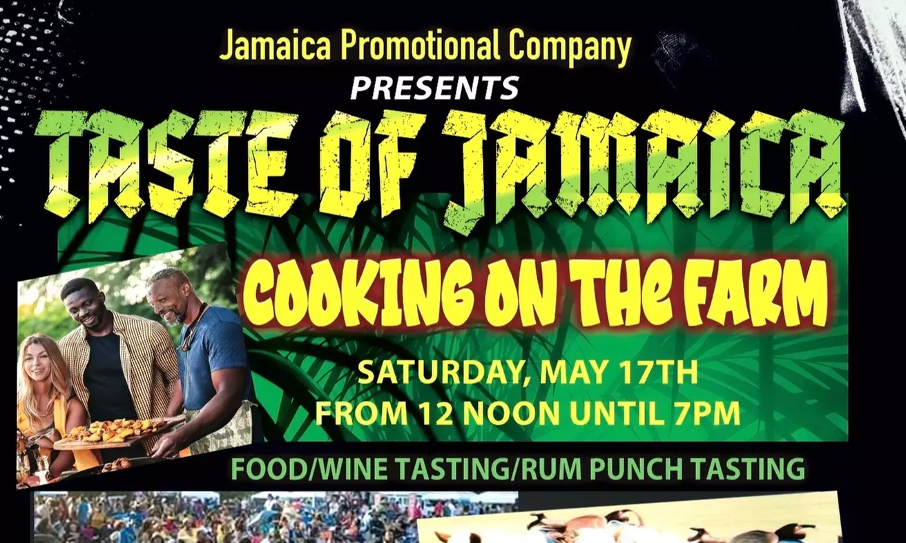 Savor the Flavor: Dive into a Food Festival Adventure!