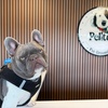 Image 3: Up to 20% Off on Pet Grooming at Pelitos Pet Grooming