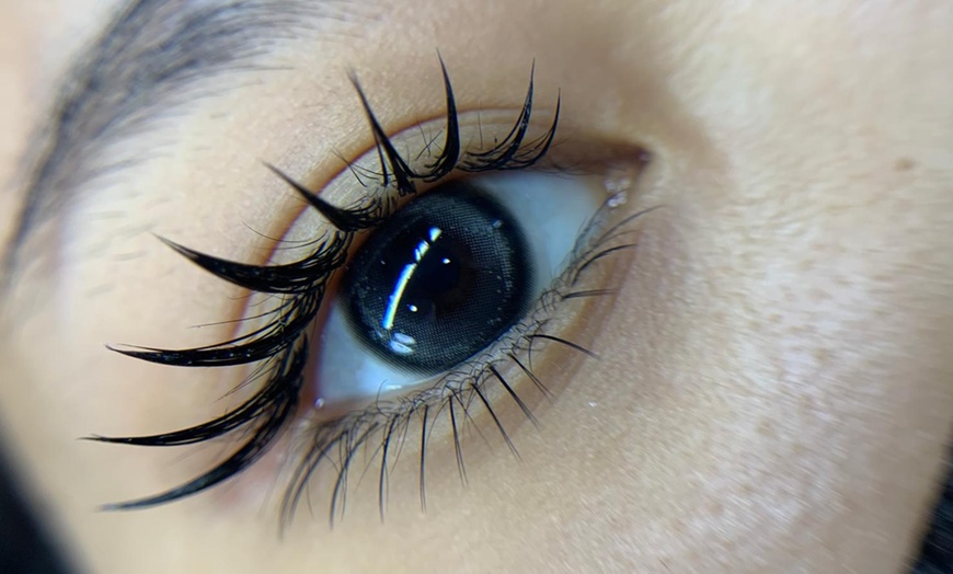 Image 3: Classic, Hybrid or Volume Eyelash Extensions Set