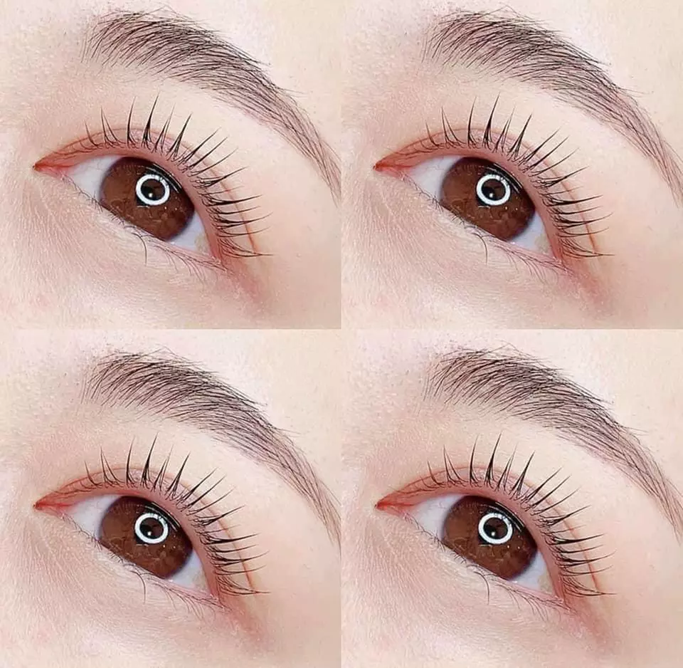 Up to 45% Off on Eyebrow Tinting at Mia Brows Lashes