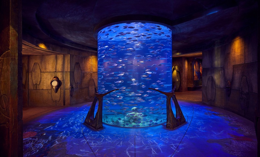 Image 6: Explore Atlantis at the Lost Chambers Aquarium!