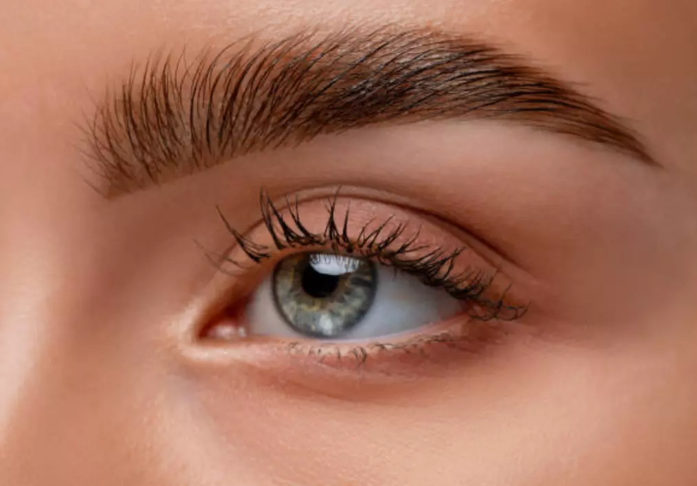 Transform Your Brows with Brow Laminate and Tint Services