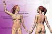 Up to 62% Off on Lymphatic Drainage Massage at Lily & Rose Spa - Second Medium