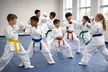 Master Traditional Shotokan Karate: Unlimited Classes for Kids & Adults at Seikou Karate USA - Second Medium